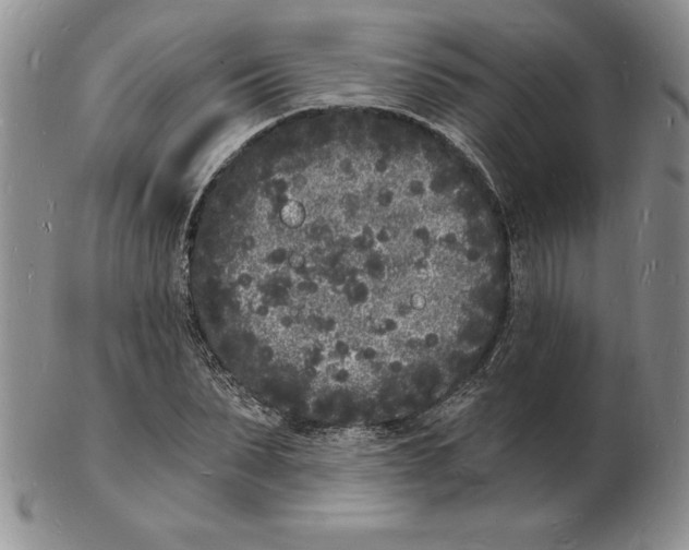 X0000102220879200808221243