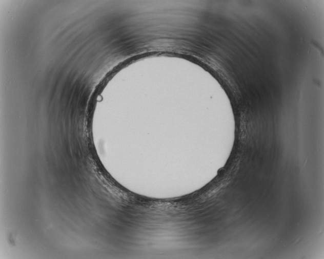 X0000102220880200808221243