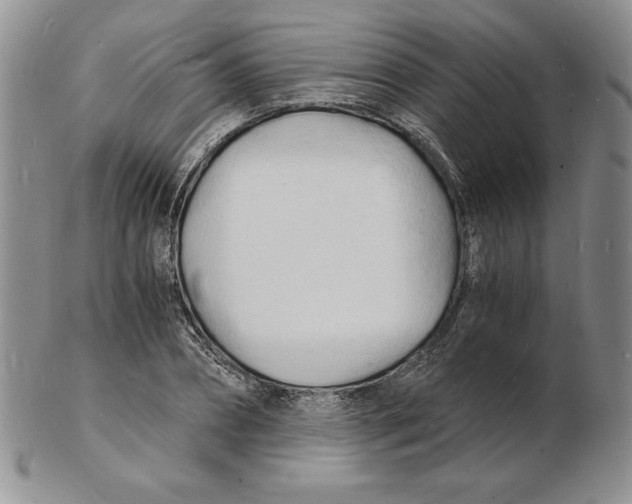 X0000102220882200808221243