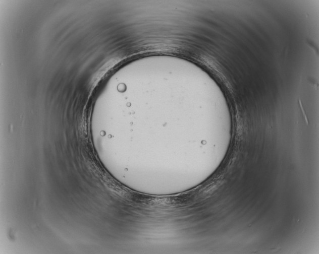 X0000102220883200808221243