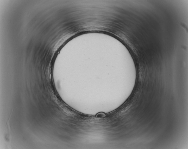 X0000102220885200808221243