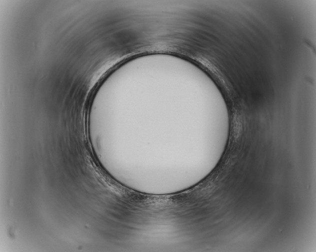 X0000102220886200808221243