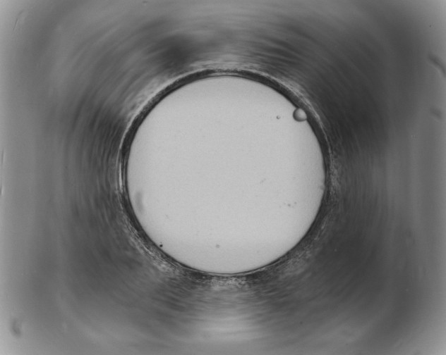 X0000102220887200808221243