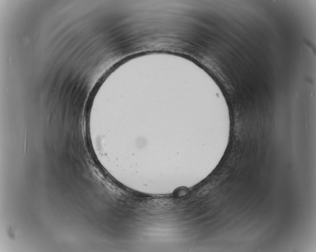 X0000102220888200808221243