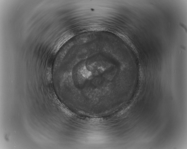 X0000102220889200808221243