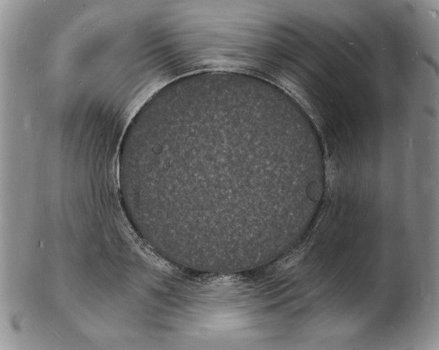 X0000102220891200808221243