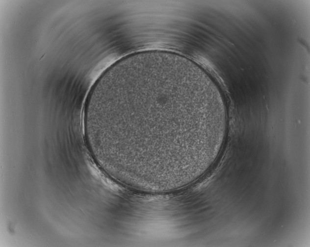 X0000102220892200808221243