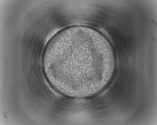 X0000102220893200808221243