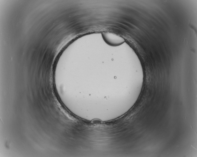 X0000102220894200808221243