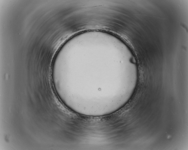 X0000102220895200808221243