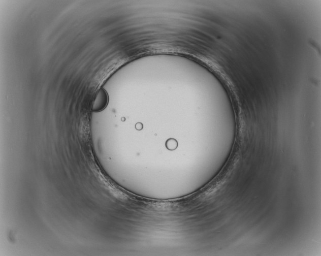 X0000102220897200808221243