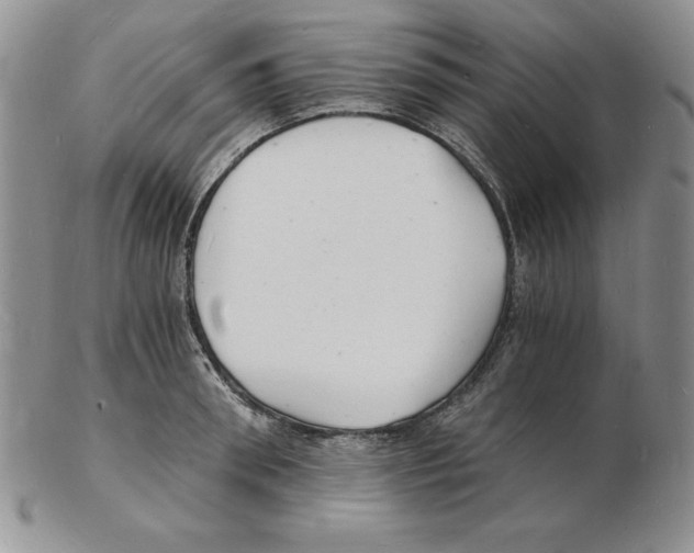 X0000102220898200808221243