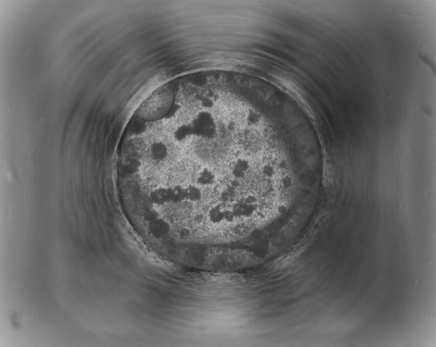 X0000102220899200808221243