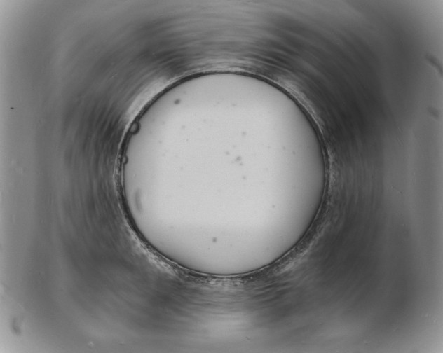 X0000102220901200808221243