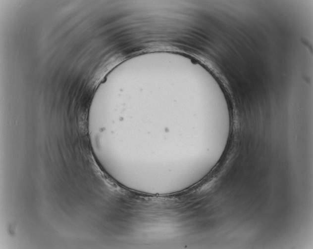 X0000102220905200808221243