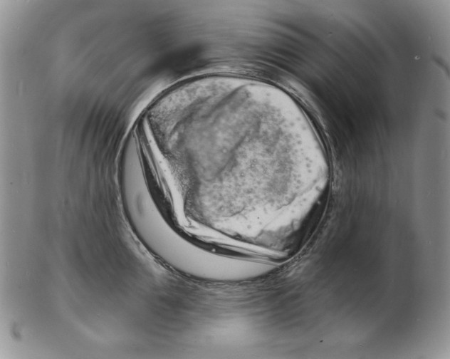 X0000102220907200808221243