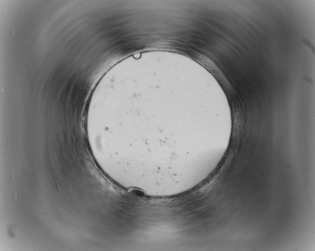 X0000102220908200808221243