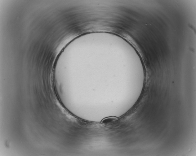 X0000102220909200808221243