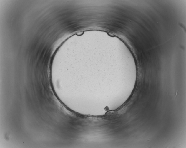 X0000102220910200808221243