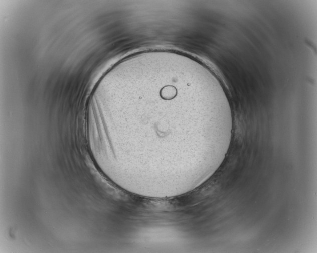 X0000102220911200808221243