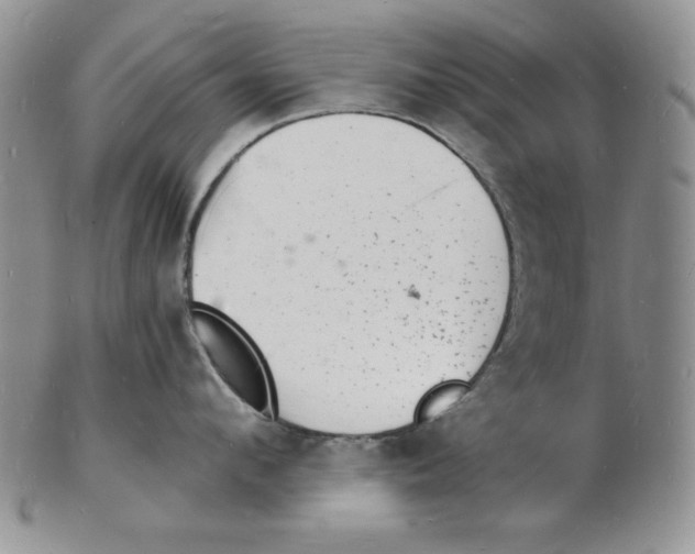 X0000102220912200808221243