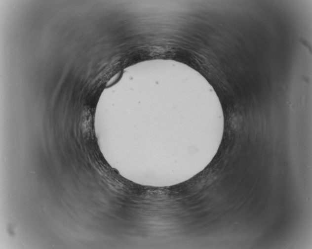 X0000102220914200808221242