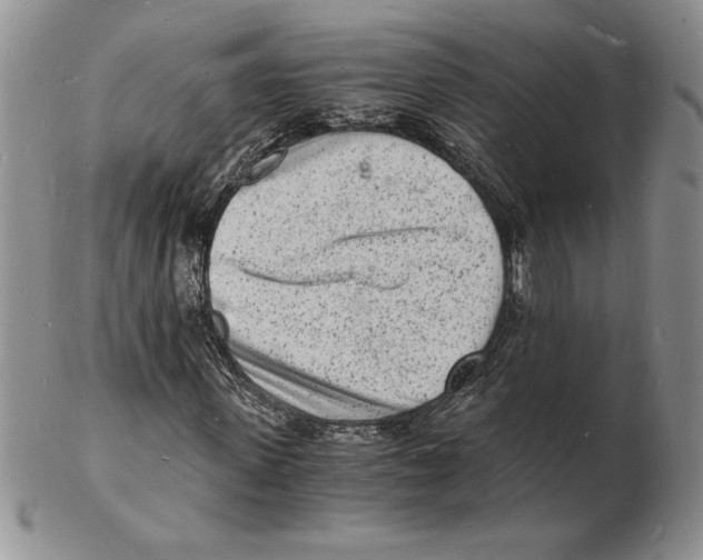 X0000102220915200808221242