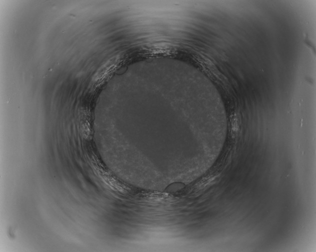 X0000102220916200808221242