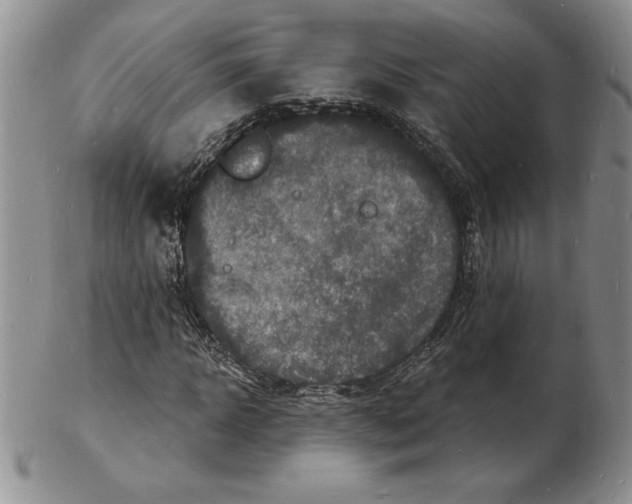 X0000102220918200808221242