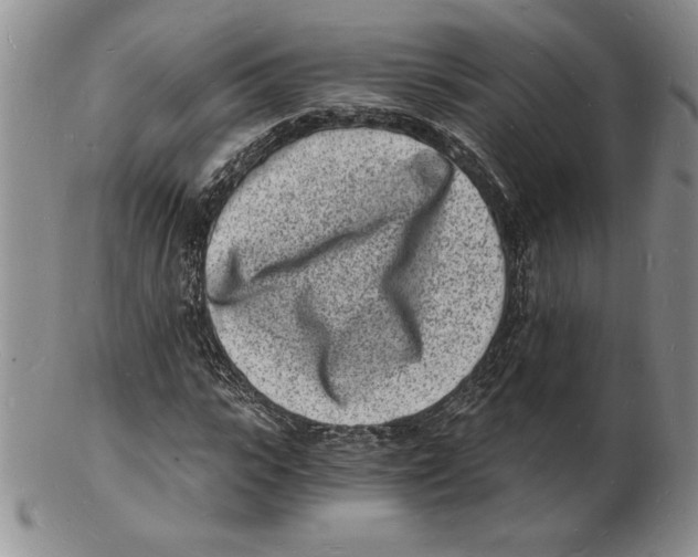 X0000102220919200808221242