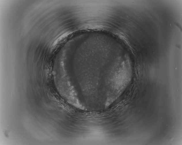 X0000102220920200808221242