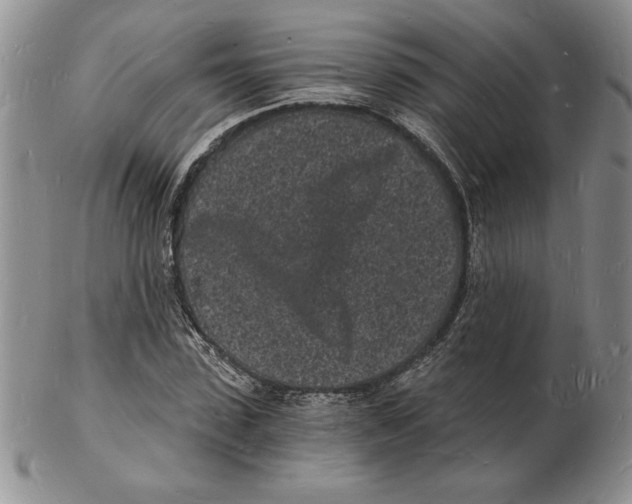 X0000102220923200808221242