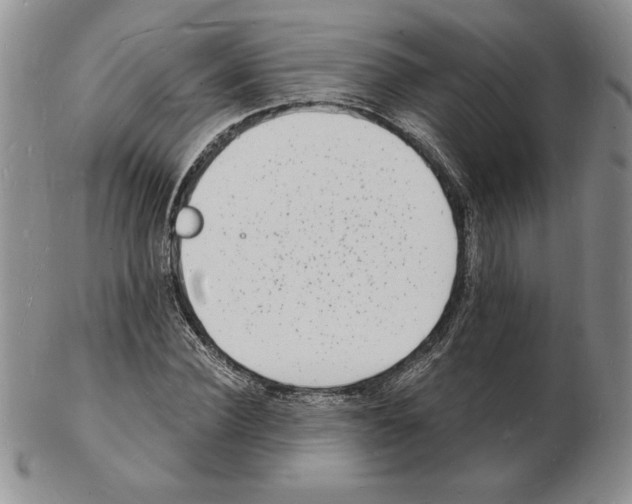 X0000102220924200808221242