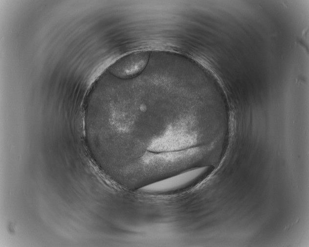 X0000102220925200808221242