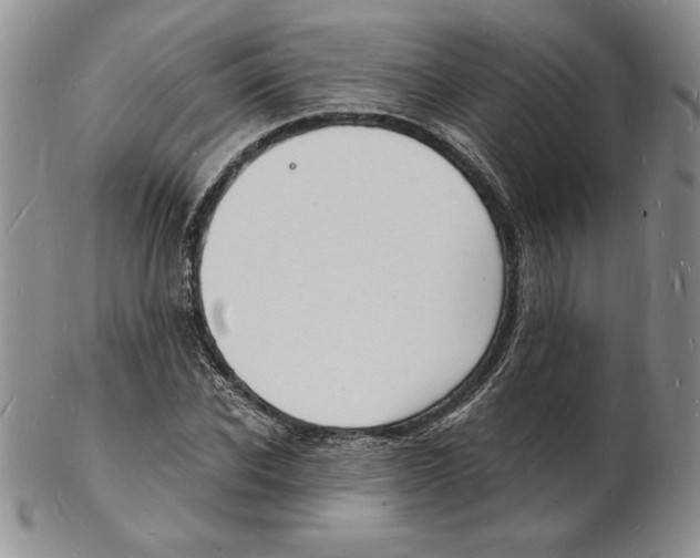 X0000102220926200808221242