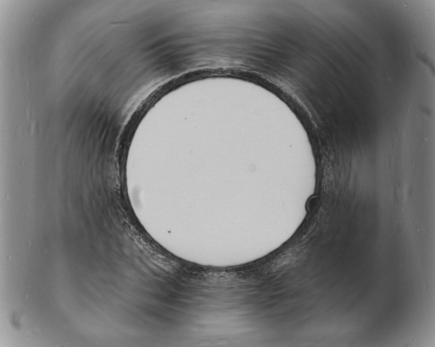 X0000102220927200808221242