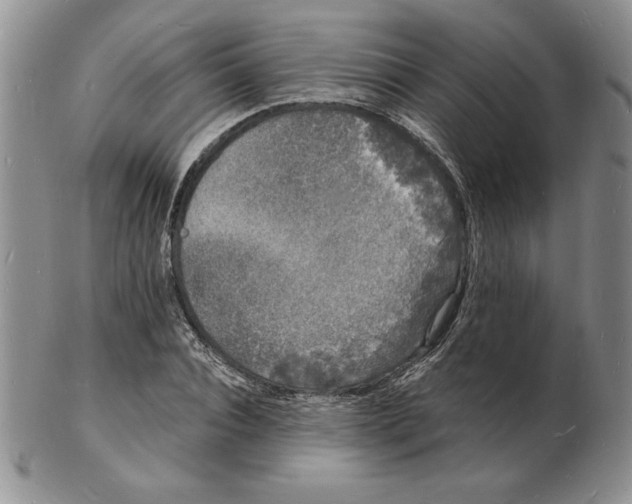 X0000102220928200808221242