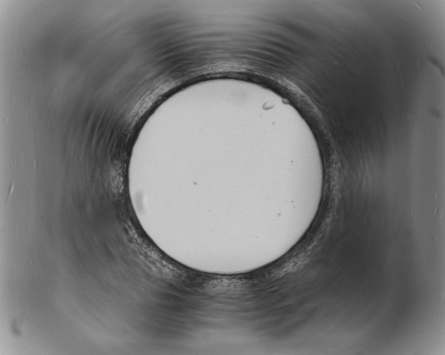 X0000102220929200808221242