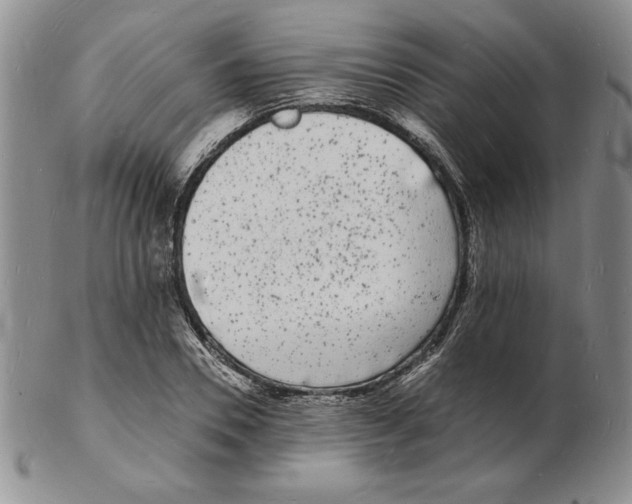 X0000102220930200808221242