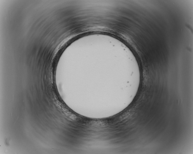 X0000102220931200808221242