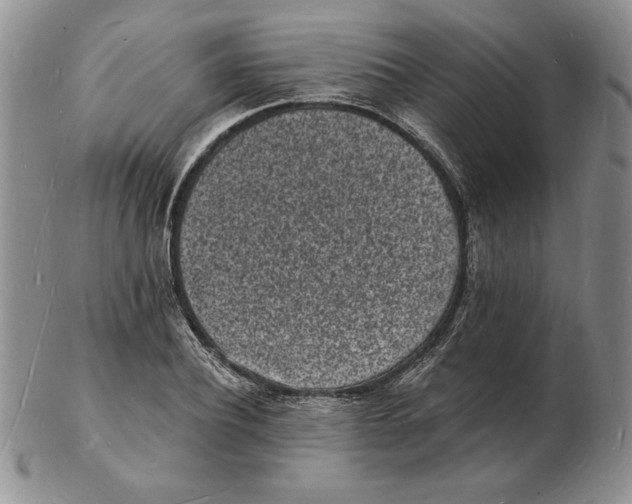 X0000102220932200808221242