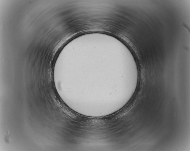 X0000102220933200808221242