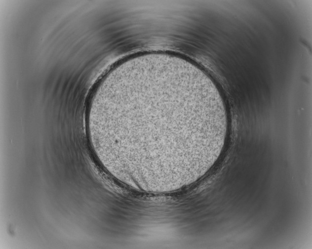 X0000102220934200808221242