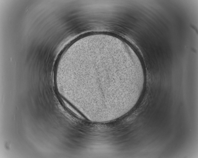 X0000102220935200808221242