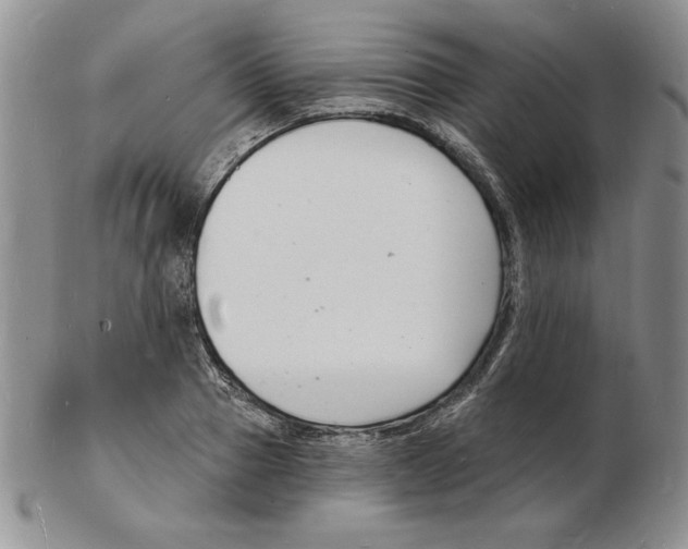 X0000102220937200808221242