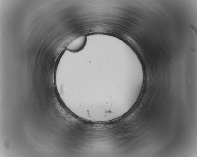 X0000102220938200808221242