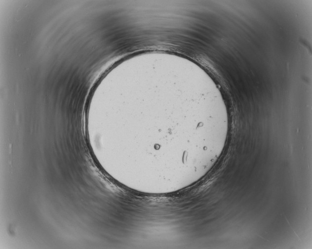 X0000102220940200808221242