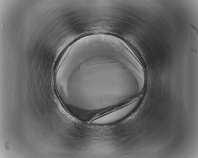 X0000102220941200808221242