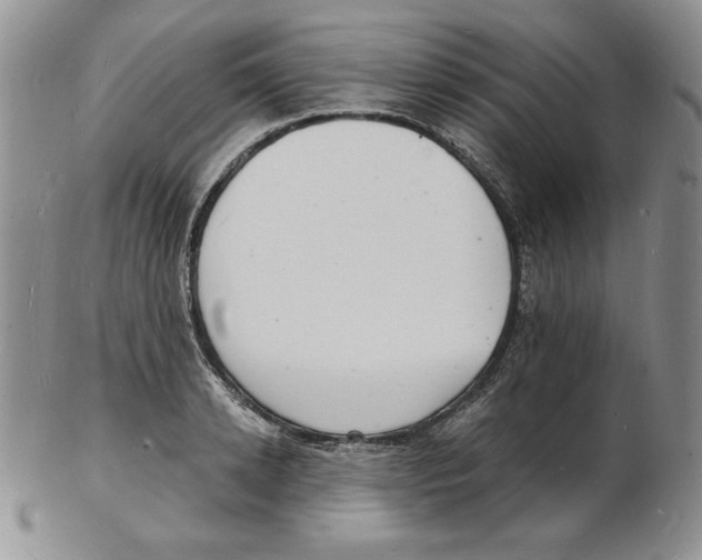 X0000102220942200808221242