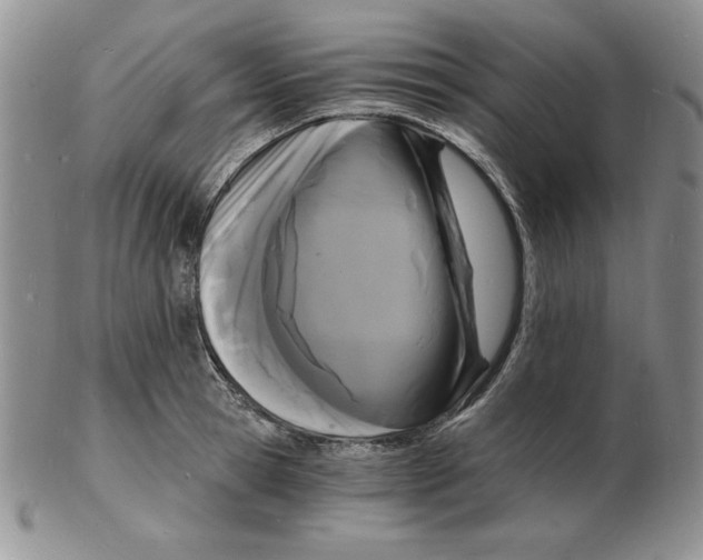 X0000102220945200808221243